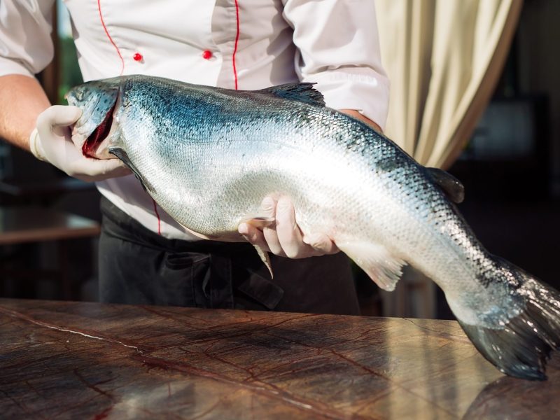 Chef keep the salmon.